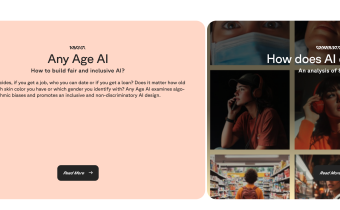 Any Age AI Project: How to build fair and inclusive AI?